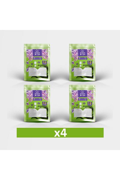 Dream Dream Bag Laundry Powder 400g * 4