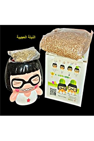 Other النبتة العجيبة شخصية بناتية ،تتكون من فخار يوضع به الماء يبدأ النبات في النمو خلال أيام 8×8×8 سم