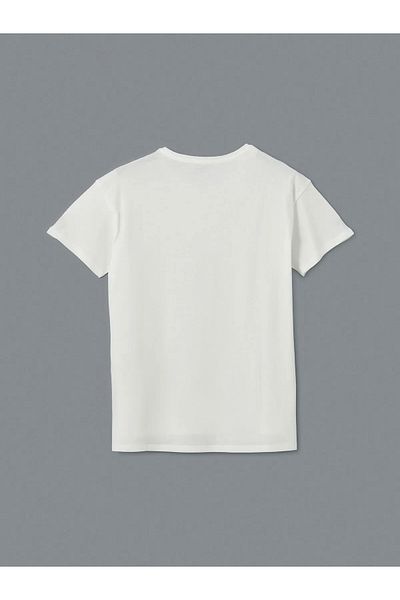 LC Waikiki Crew Neck Printed Women's T-Shirt