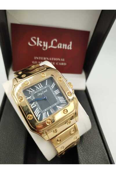 Skyland ساعة يد سكاي لاند استيل لرجال