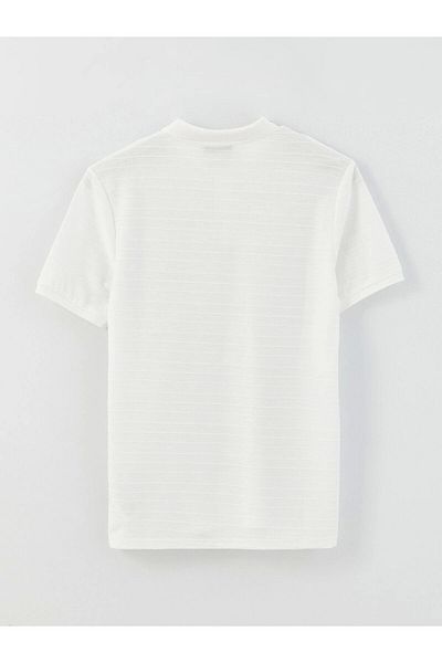 LC Waikiki Lc Waiki Polo Neck Short Sleeve Men's T-Shirt