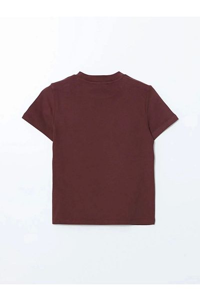 LC Waikiki Lc Waiki Vision Burgundy Crew Neck Women's T-Shirt
