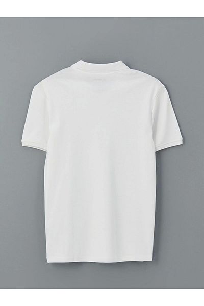 LC Waikiki Lc Waiki Classic Polo Neck Plain Interlock Men's T-Shirt
