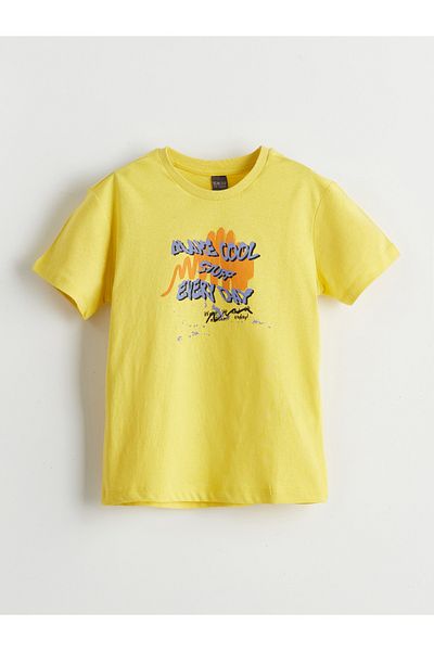 LC Waikiki Crew Neck Boy's T-Shirt