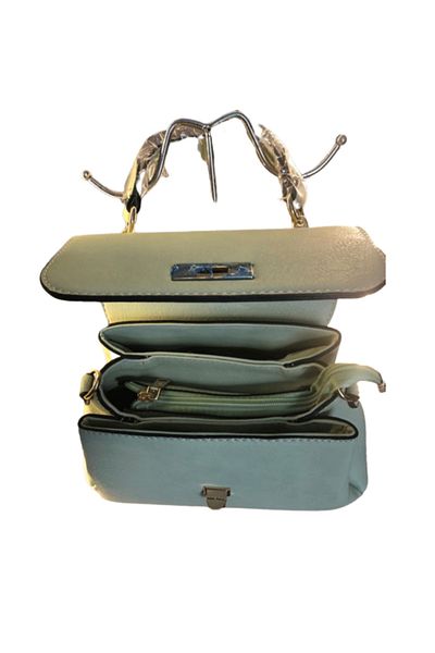 Generic women's handbag