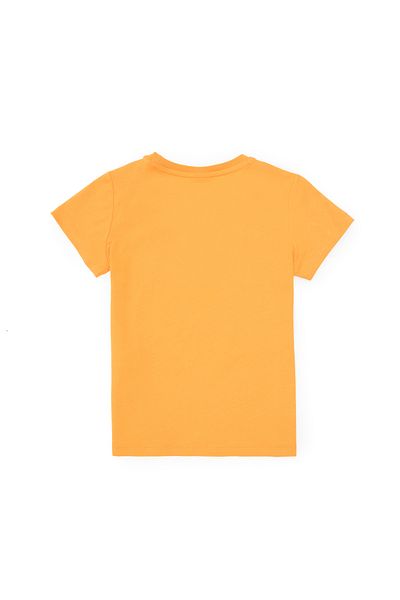 U.S. Polo Assn. Boy's Crew Neck Orange T-Shirt 50307138-Vr051