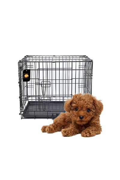 KidLe Dog Crate Pet Cage Puppy Cat Rabbit Indoor Outdoor with Tray