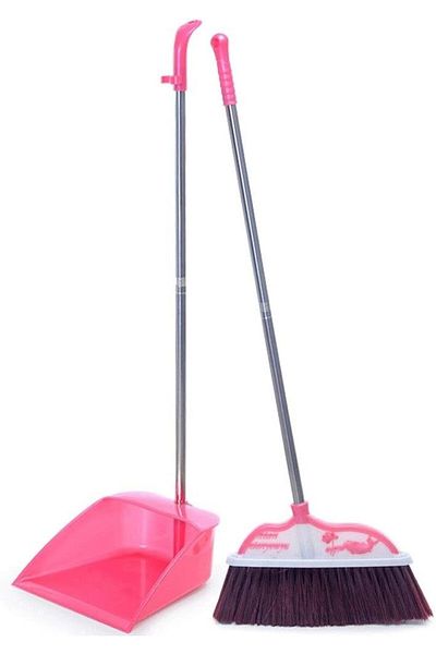 rexa Windproof Soft Brush Broom Set Extra Long Stainless Steel Handle Non Stick Hair