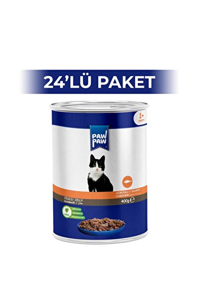 Paw Paw Somonlu Yetişkin Kedi Konservesi 400 gr (24 ADET)