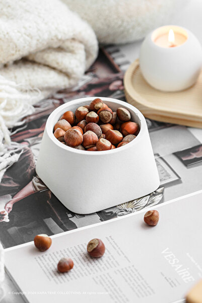 Modern, Stylish and Decorative Star Design Concrete Succulent Flower Pot - Large Size (BEIGE - OFF-WHITE)