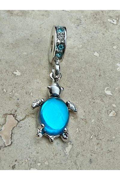 Snartun Dangle Stone Turtle Charm Changeable Charm Steel Bracelet