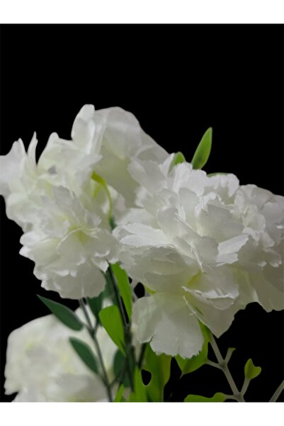 Lilac Home 3 Demet İnci Çiçeği