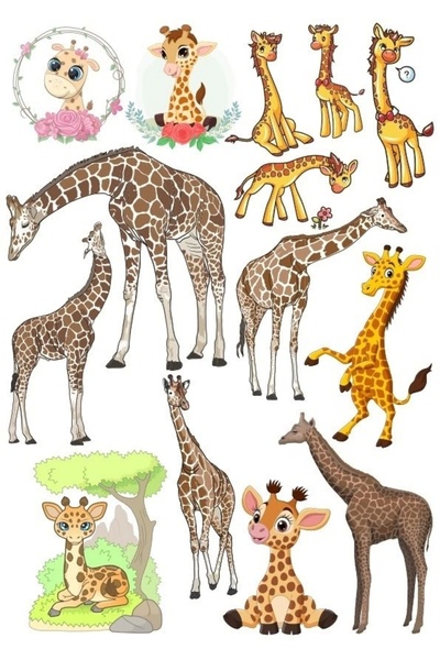 Reysa Tasarım مجموعة ملصقات الزرافة-1 مكونة من 13 قطعة للهاتف والكمبيوتر اللو...