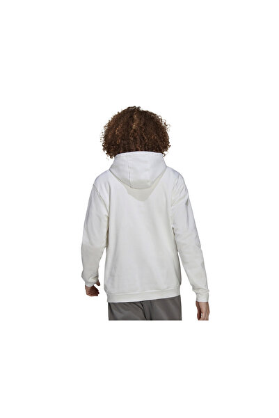 adidas Entrada 22 Sweat Hoodie Ανδρικά Φούτερ HG6302 Λευκό