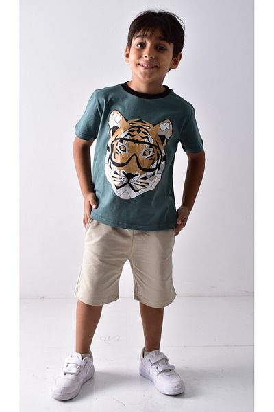 Banadamoda Boy's Printed T-shirt Shorts Set