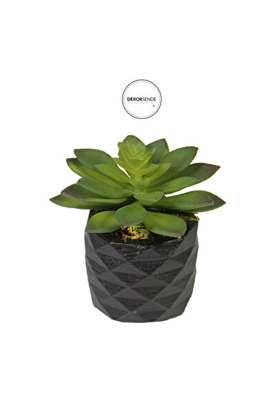 Dekorsende Mini suculent artificial Echeveria verde cu ghiveci de 12 cm