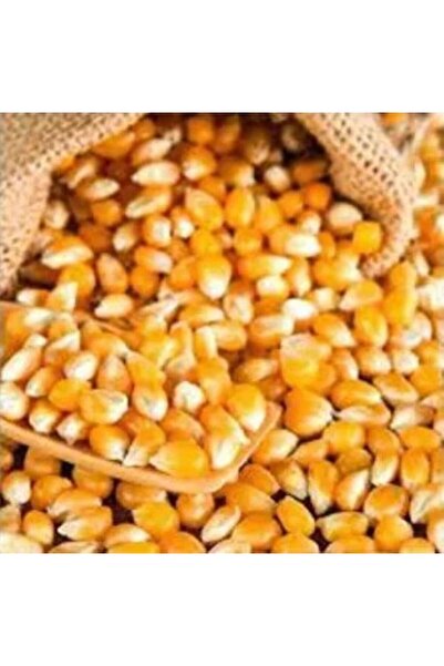 SİLİFKE MARKET Patlaklık Mısır 500 gr