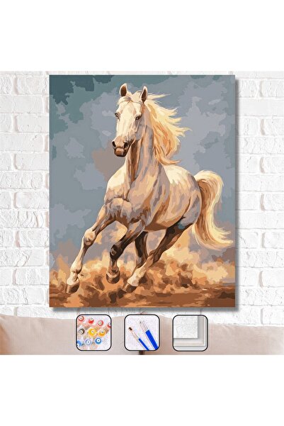 Pastelya Sayılarla Boyama Seti Çerçeveli Kasnaklı Dört Nala Kır At 60x75 Cm