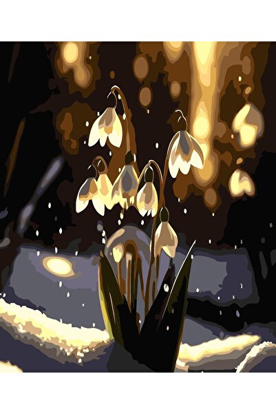 Pastelya Sayılarla Boyama Seti Çerçeveli Kasnaklı Kardelen 40x50