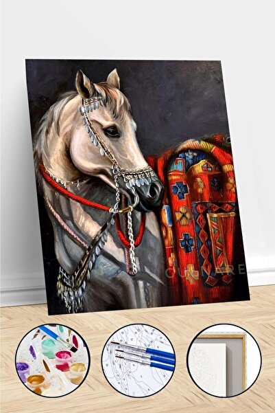 Pastelya Sayılarla Boyama Seti Çerçeveli Kasnaklı Asil At 2 60 x 75 cm