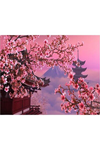 kendinyaphobi Proleće u Kini Set numerisanih slika sa ramom i obručem