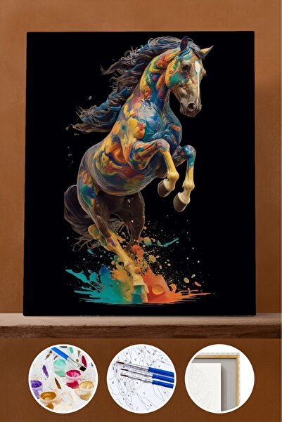 Pastelya Sayılarla Boyama Seti Çerçeveli Kasnaklı Mearas 60x75 Cm