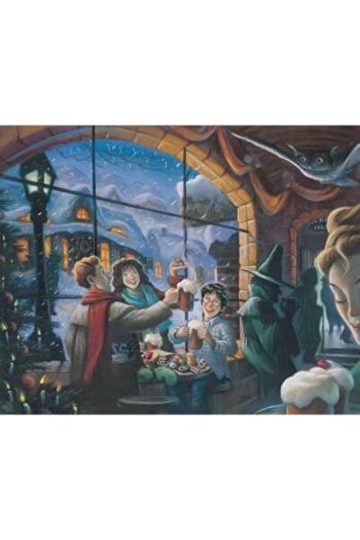 Pastelya Sayılarla Boyama Seti Çerçeveli Kasnaklı Harry Potter Ve Kış  50 x 6...