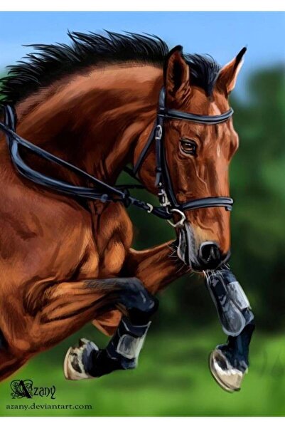 kendinyaphobi Sayılarla Boyama Seti Çerçeveli Kasnaklı Yarış Atı 3 60x75cm