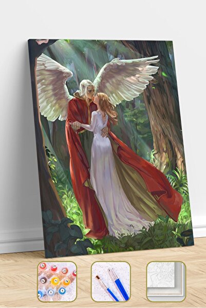 Pastelya Sayılarla Boyama Seti Çerçeveli Kasnaklı Aşık Elfler  40 x 50 cm