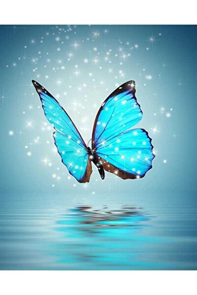 Pastelya Sayılarla Boyama Seti Çerçeveli Kasnaklı Mavili Kelebek 40 x 50 Cm