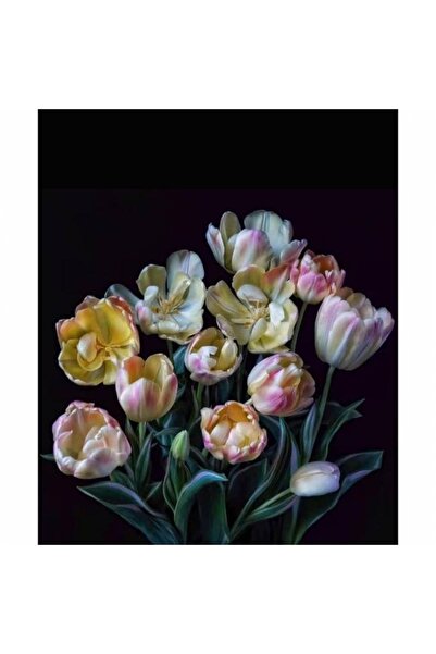 Pastelya Sayılarla Boyama Seti Çerçeveli Kasnaklı Yaşam Çiçeği 50 X 65 Cm