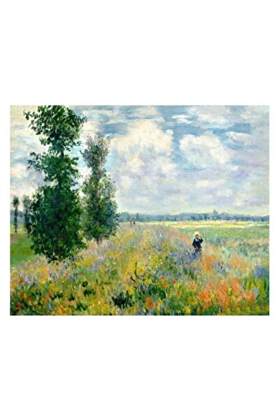 Pastelya Sayılarla Boyama Seti Çerçeveli Kasnaklı Monet Hashas Bahçesi 50 X 6...