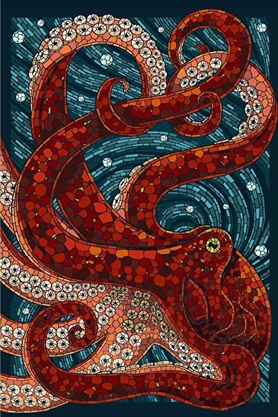 Pastelya Sayılarla Boyama Seti Çerçeveli Kasnaklı Ahtapot 60 x 75 cm