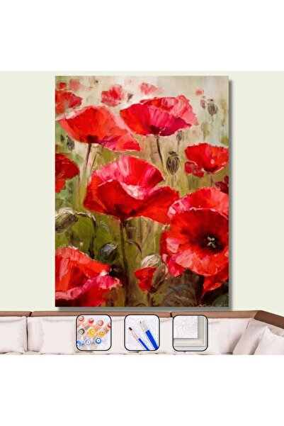 Pastelya Sayılarla Boyama Seti Çerçeveli Kasnaklı Gelincik Tarlası 40 x 50 Cm