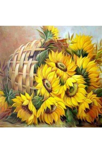 Pastelya Sayılarla Boyama Seti Çerçeveli Kasnaklı Seppete Çiçek 40 x 50 Cm