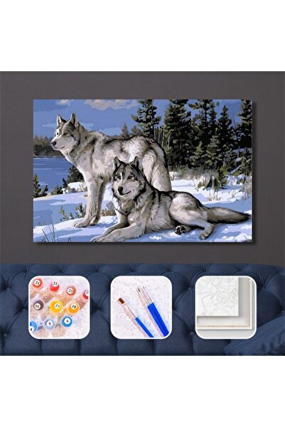 Pastelya Sayılarla Boyama Seti Çerçeveli Kasnaklı Kurt Bakışı 40 x 50 Cm