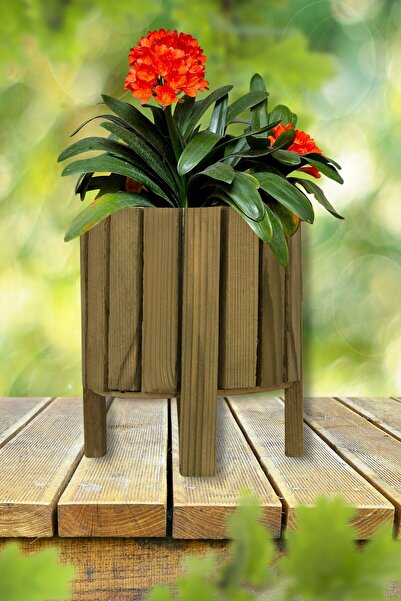 EL İŞİ DİY CRAFT Doğal Ahşap Ayaklı Saksı, Bahçe Balkon, Ev, Çiçeklik, Dekora...