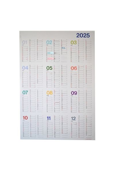 Iordache Laurentiu A1 2025 Wall Planner Annual Calendar, 12 months color