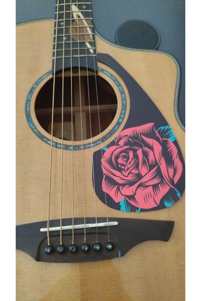 SALVADOR Pickguard Akustik Gitar Kendinden Yapışkanlı (Pena Korumalığı)