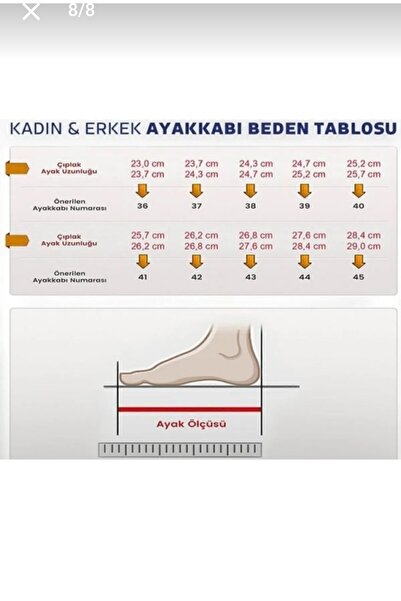 disruptor world Women's Babet Mesh Very Stylish and Comfortable