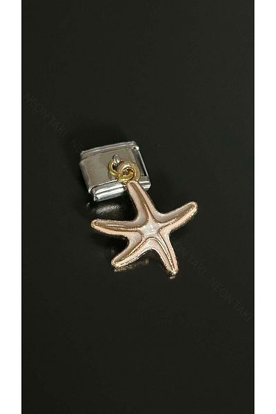 Neon Takı by Atalay Sensitivity Tag & Starfish, Steel Charm 31 for Italian Nom Bracelet, Silver Color