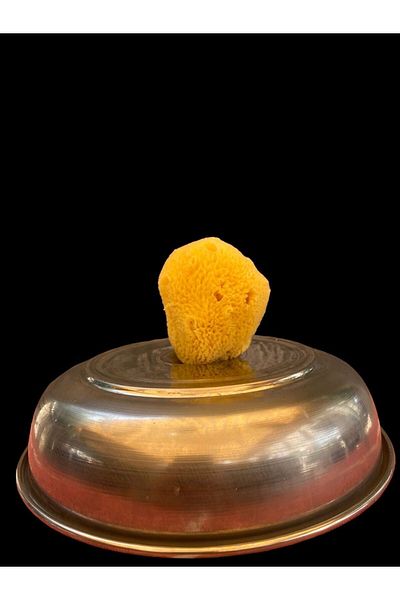 ASLANCAN Natural Sea Sponge - Small Size