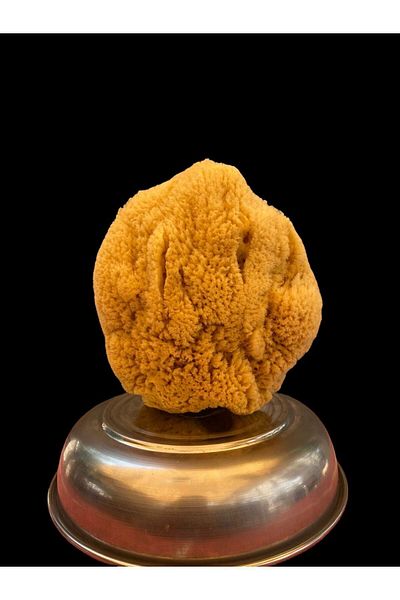 ASLANCAN Large Size Natural Sea Sponge