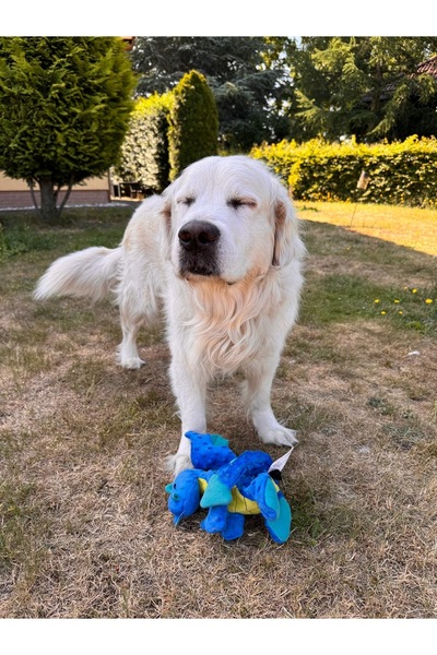 Vardem Peluş Ejderha Köpek Oyuncağı 35 cm