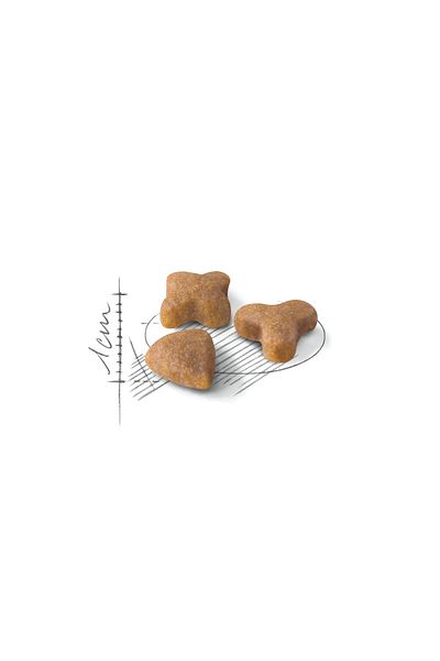 Royal Canin Royal Canin Sensible 33 Dry Cat Food, 400g