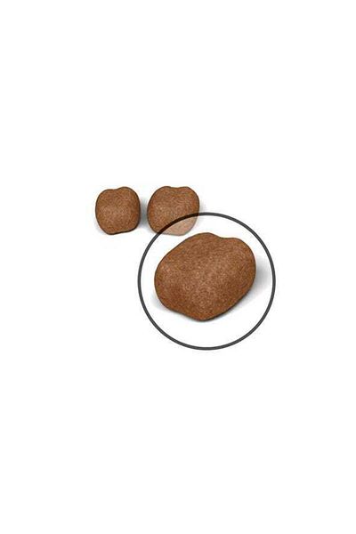 Royal Canin Oral Care Cat Food 1.5 Kg