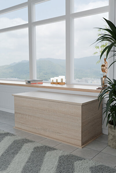 ECM PET Sandık Kapalı Kedi Tuvaleti Antre Mobilyası