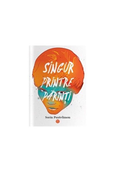 Editura Datagroup Singur printre parinti, Sorin Pantelimon