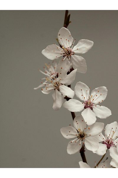 Harikabirev ΥΠΕΡΑΣΤΗ | ΛΕΥΚΟ ΛΟΥΛΟΥΔΙ ΜΟΝΤΕΛΟ DALI (FLORAL) | ΤΡΑΠΕΖΙ ΚΑΘΕΤΟ ΜΟΝΟ ΜΕ ΠΛΑΙΣΙΟ ΘΕΡΜΑΝΤΗΜΕΝΟ ΓΥΑΛΙ
