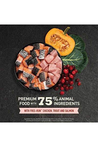 Acana Acana Highest Protein Indoor Cat Recipe Dry Cat Food - 4.5 kg